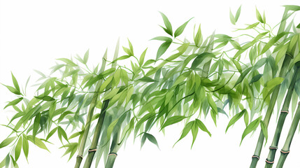Fototapeta na wymiar hand drawn cartoon bamboo illustration 