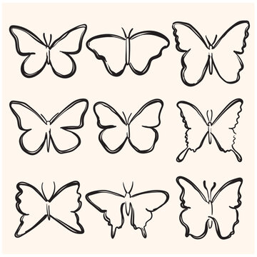 Butterfly Animal doodle line art Design