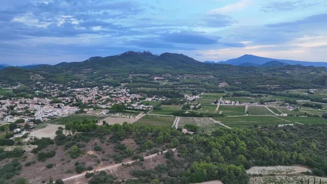 Dentelles de Montmirail