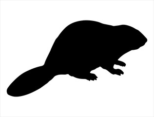 Beaver silhouette vector art white background