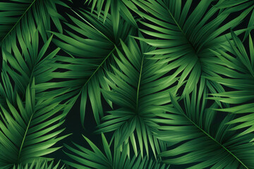 Abstract natural background. Exotic leaves pattern. Creative background with greenpalm leaves