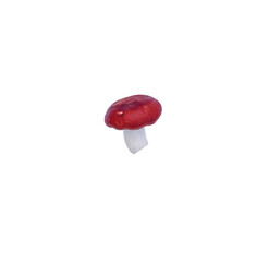 red edible wild russula mushroom. Isolate on white - obrazy, fototapety, plakaty