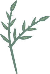 plant leaves 349