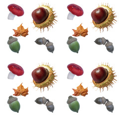 Autumn patern of acorns, chestnut, russula mushroom, red leaf. Isolate on white. option available PNG - obrazy, fototapety, plakaty