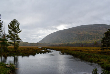 Lake in Acadia National Park