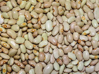 Pile of raw beans. Beans background