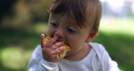 Adorable baby taking a bite of corn cob. Infant toddler portrait eating healthy snack outside in nature