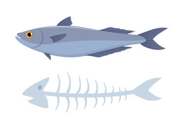 Fish with his fishbone, on white background. Organic waste. Vector illustration.