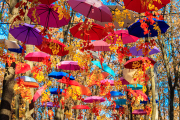 Fototapeta premium Multicolored umbrellas on the autumn park. Colorful umbrellas hanging among trees in the fall