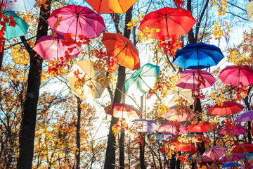 Multicolored umbrellas on the autumn park. Colorful umbrellas hanging among trees in the fall