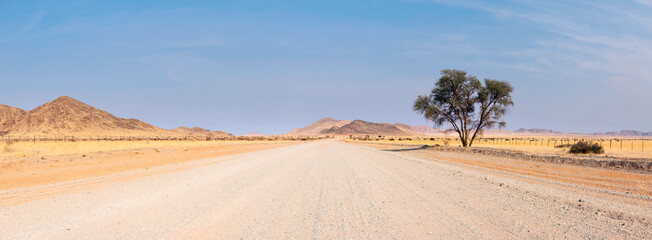 A sand road in the middle of the desert with a group of trees and Tiras Mountains in the...