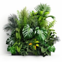 illustration of tropical plants isolated in white background
