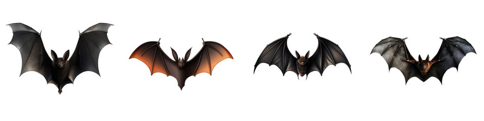 Halloween Bat clipart collection, vector, icons isolated on transparent background