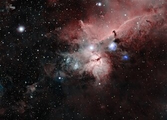 The Horse Head and Flame Nebulae