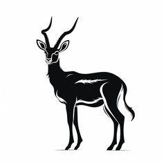 Gazelle with antlers standing isolated on a white background