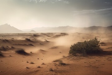 A solitary bush in the vast desert landscape