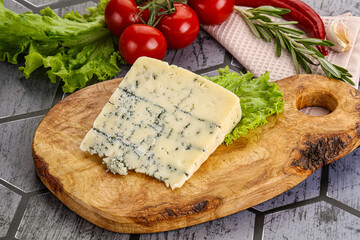 Gourmet blue cheese with mold