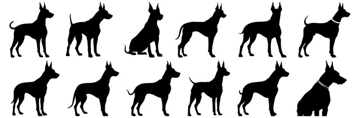 Dog doberman silhouettes set, large pack of vector silhouette design, isolated white background
