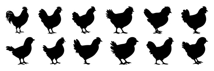 Chicken farm animals silhouettes set, large pack of vector silhouette design, isolated white background