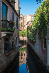 Panorama di un piccolo canale di Venezia con una pianta di edera che cresce su un muro
