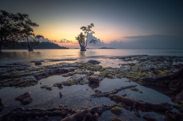 Tropical beach at sunset in Bintan Island, Indonesia. - 645472127
