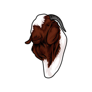 Buck Boer Goat Vector Stock-1