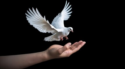 dove flying over hand