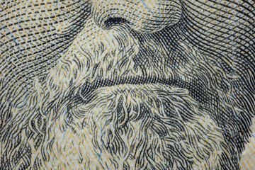 Portrait The 18th U.S. President Ulysses S. Grant on The United States fifty dollar bill