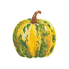 Ripe big yellow orange pumpkin. Isolated on a white background. Garden vegetable. Eco natural product. Organic food. Watercolor hand drawn illustration.