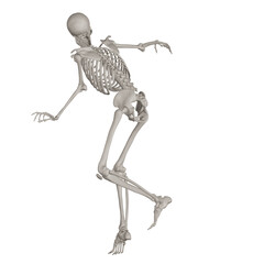 skeleton posing 3d render illustration with transparent background