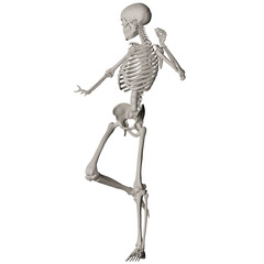 skeleton posing 3d render illustration with transparent background