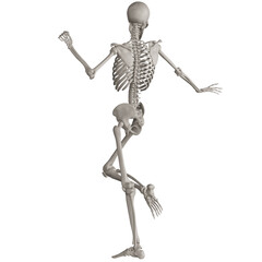 skeleton posing 3d render illustration with transparent background