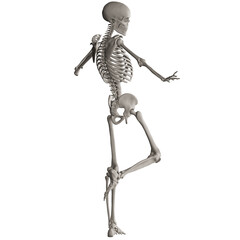 skeleton posing 3d render illustration with transparent background