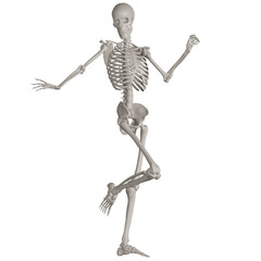 skeleton posing 3d render illustration with transparent background