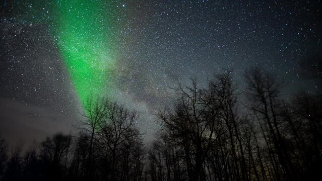 Time lapse of a star filled sky that includes Aurora at the start. The Milky Way moves across the sky. The Trees in the foreground are blurred as they move in a strong wind.
