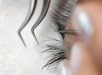 Correct application of 2d, 3d, 4d, 5d volume cluster fans artificial lashes. Eyelash Extension...