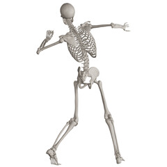 skeleton posing 3d render illustration with transparent background