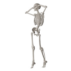 skeleton posing 3d render illustration with transparent background