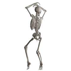 skeleton posing 3d render illustration with transparent background