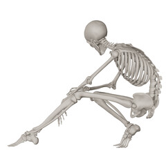skeleton posing 3d render illustration with transparent background
