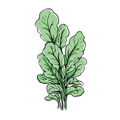 Spinach in cartoon, doodle style. 2d vector illustration in logo, icon style. AI Generative
