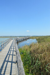 Der Federsee