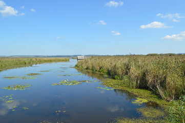 Der Federsee