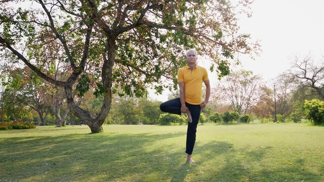 Fit Indian Asian male old Senior citizen performing a yoga asana called eka pada Tree pose (Vrikshasana) in a green public park in the morning sunlight. healthy lifestyle, wellness, fitness concept.