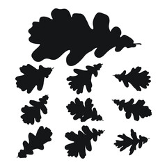 Set of vector silhouettes of a black shape of oak leaves