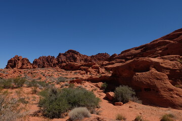 rocks in the desert