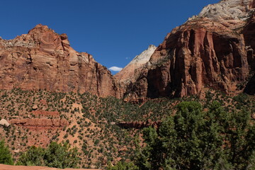 Fototapeta premium Zion park