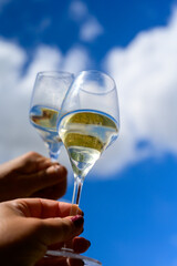 Glass of sparkling white wine with bubbles champagne and blue sky in Cote des Bar, Champagne region, France