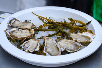 Fresh french Gillardeau oysters molluscs shucked on ice with lemon ready to eat close up