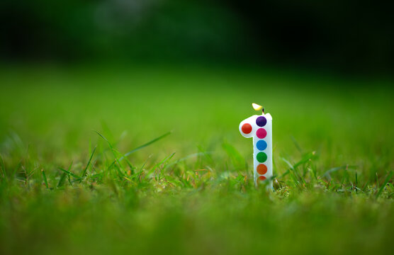 A candle in the shape of the number one is stuck in the green grass. Celebration of one year. The company's first birthday in the fresh air.The year of the company's operation.